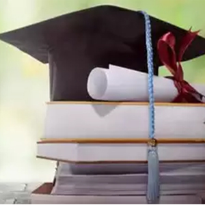 What is the Stanford Reliance Dhirubhai Fellowship Programme